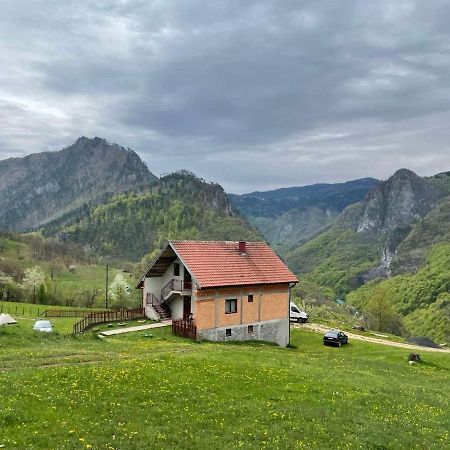 Family Owned Self Sufficient Eco Farm Tara Hotel Плевля Екстериор снимка