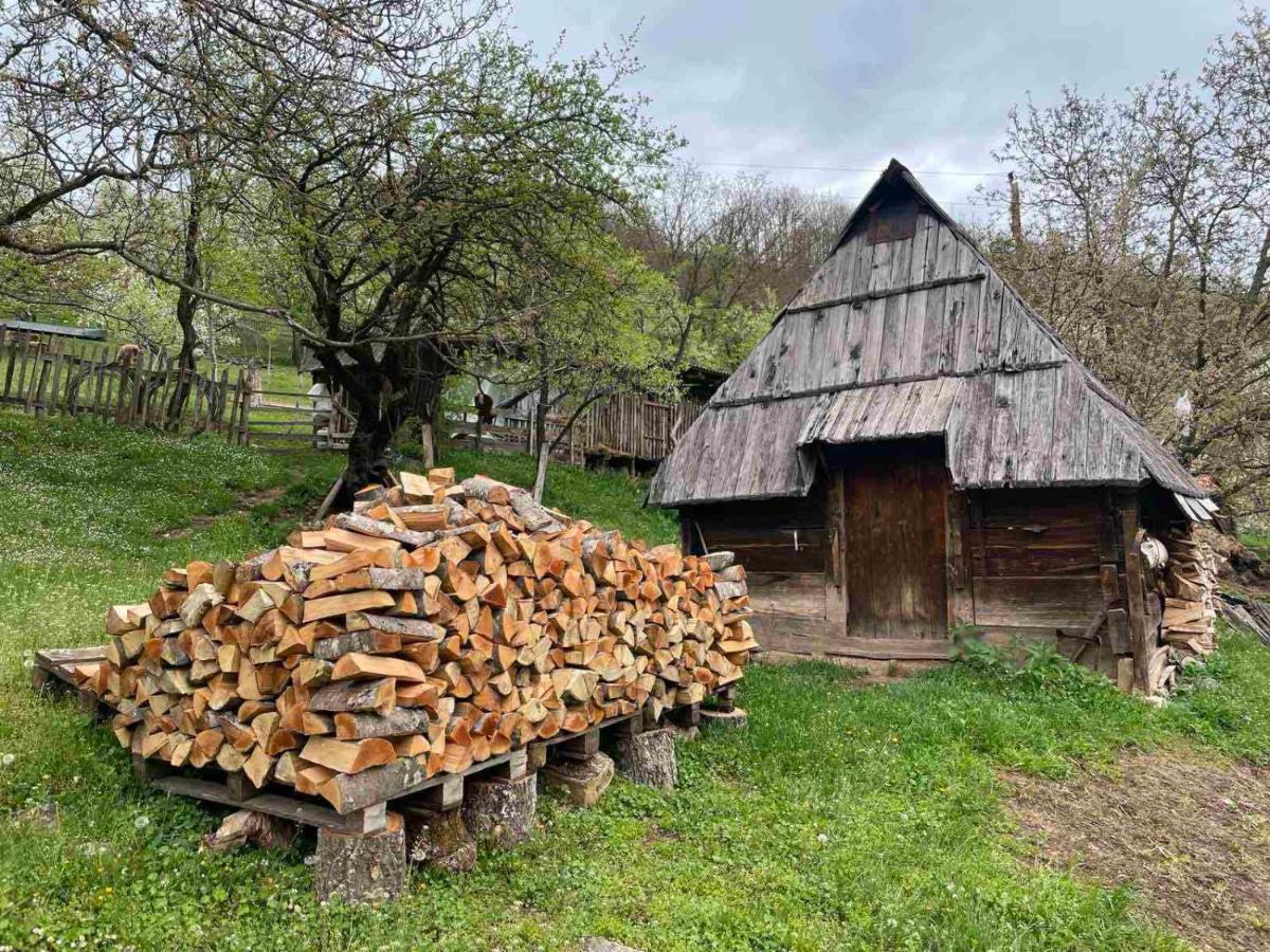 Family Owned Self Sufficient Eco Farm Tara Hotel Плевля Екстериор снимка